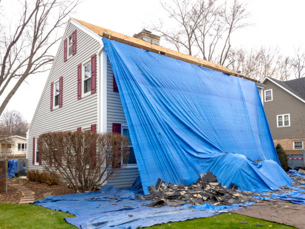 Best Brick Veneer Siding  in Cricket, NC