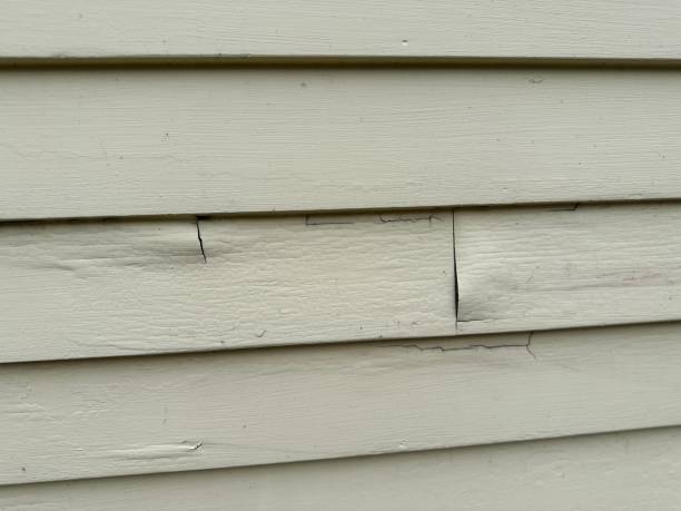 Best Insulated Siding Installation  in Cricket, NC
